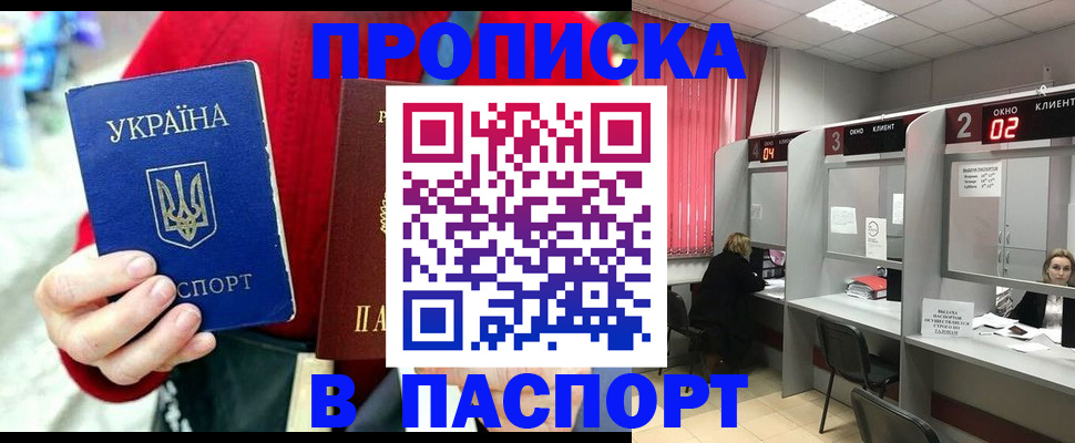 прописка 2025 в Щёкино